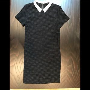 Zara Micro Polka Dot Dress